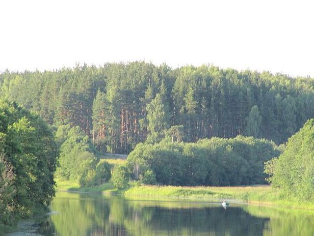 Петровское ГП.