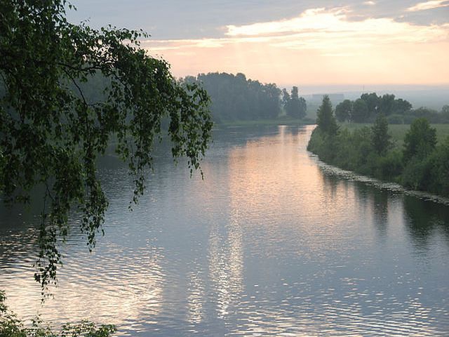 Петровское ГП.